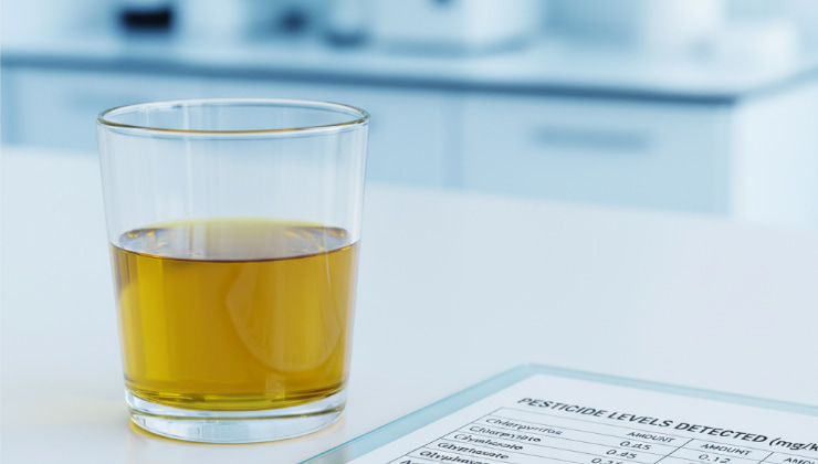 Bicchiere d'olio per le analisi.