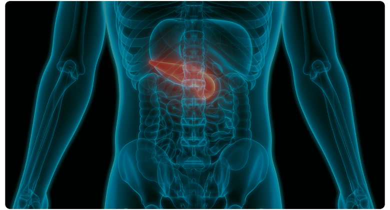 Pancreas