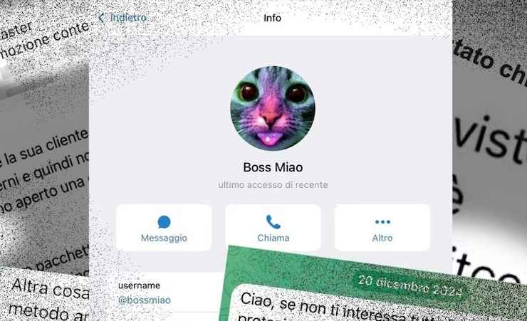 Boss Miao phica chat_Donnaclick