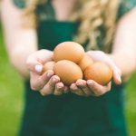 Dieta uova_Donnaclick