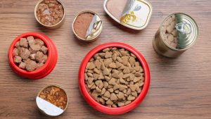 Cibo gatti crudo batteri_Donnaclick