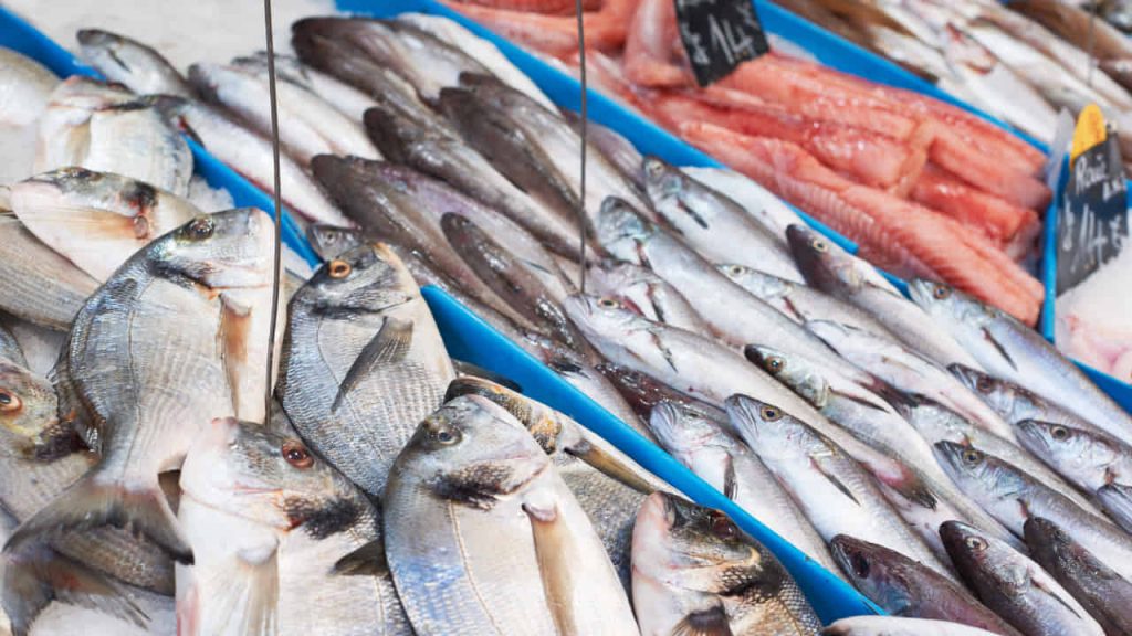 Pesce contaminato_Donnaclick