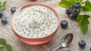 Formiche yogurt_Donnaclick