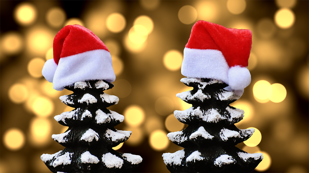 Nell'acquisto dell’albero di Natale, che sia vero o artificiale, scegli l’abete più adatto e che sia pratico e facile da sistemare.