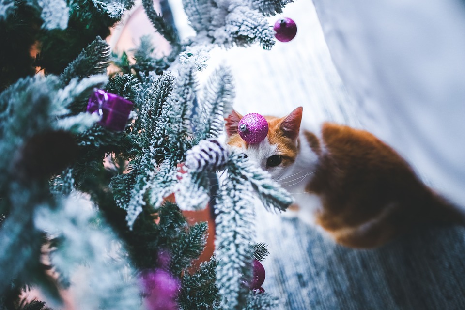 Alberi di Natale da soffitto, la novità del Natale 2016 - Donnaclick