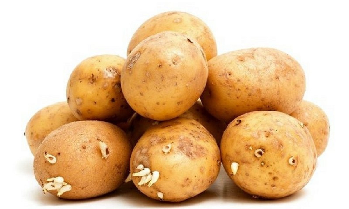 Cosa Succede Se Mangiamo Le Patate Germogliate Donnaclick
