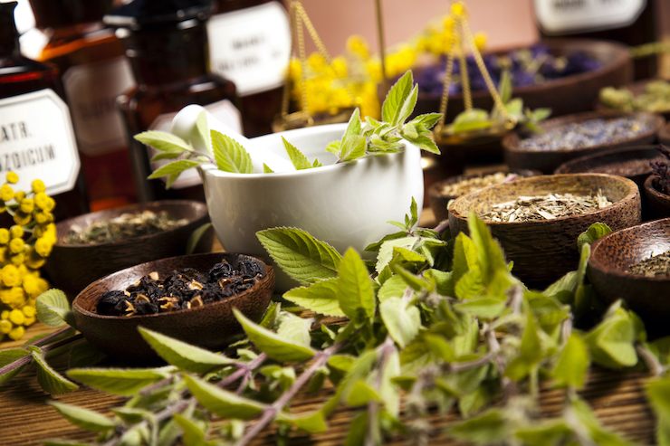 Erbe medicinali_Donnaclick