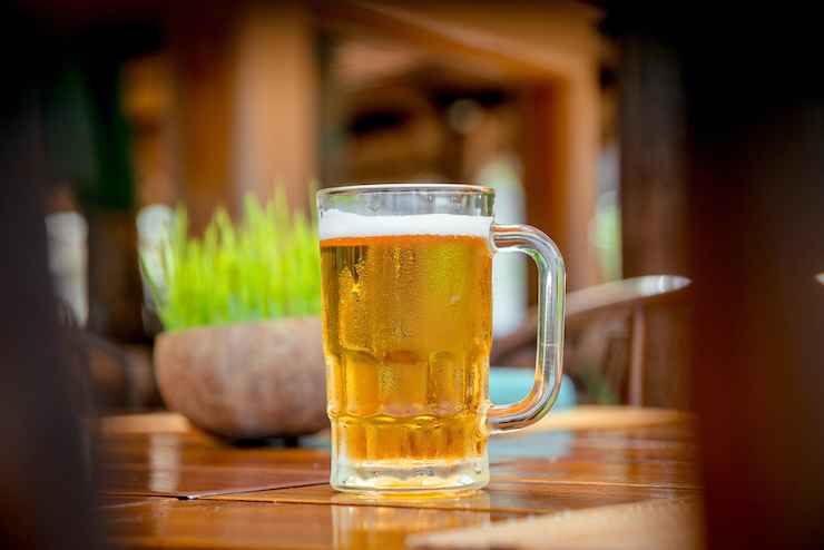 Zanzare birra_Donnaclick