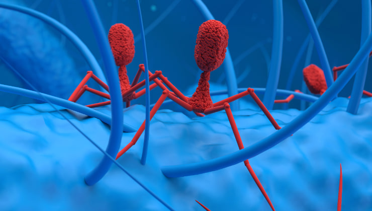 Virus sintetici AI batteriofagi_Donnaclick