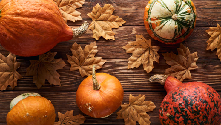 Torta salata zucca_Donnaclick